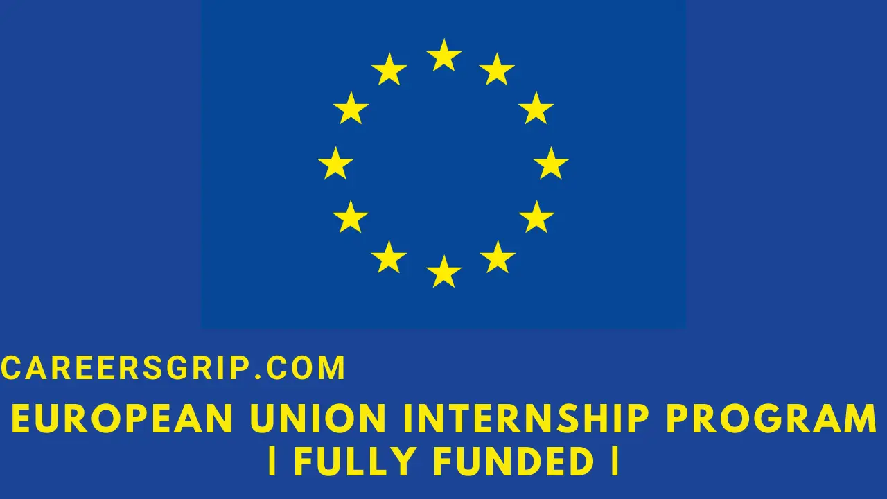 European Union Internship Program