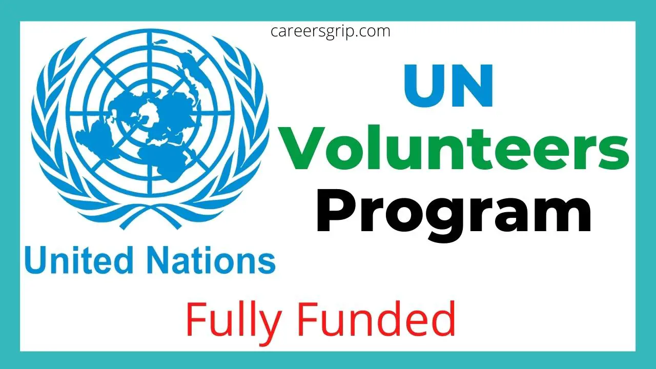 UN Volunteers Program