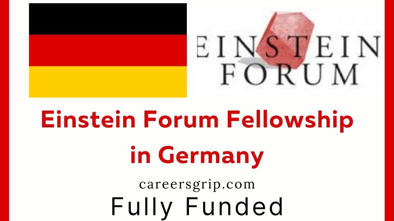 Einstein Forum Fellowship