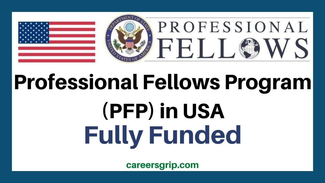 Professional Fellows Program