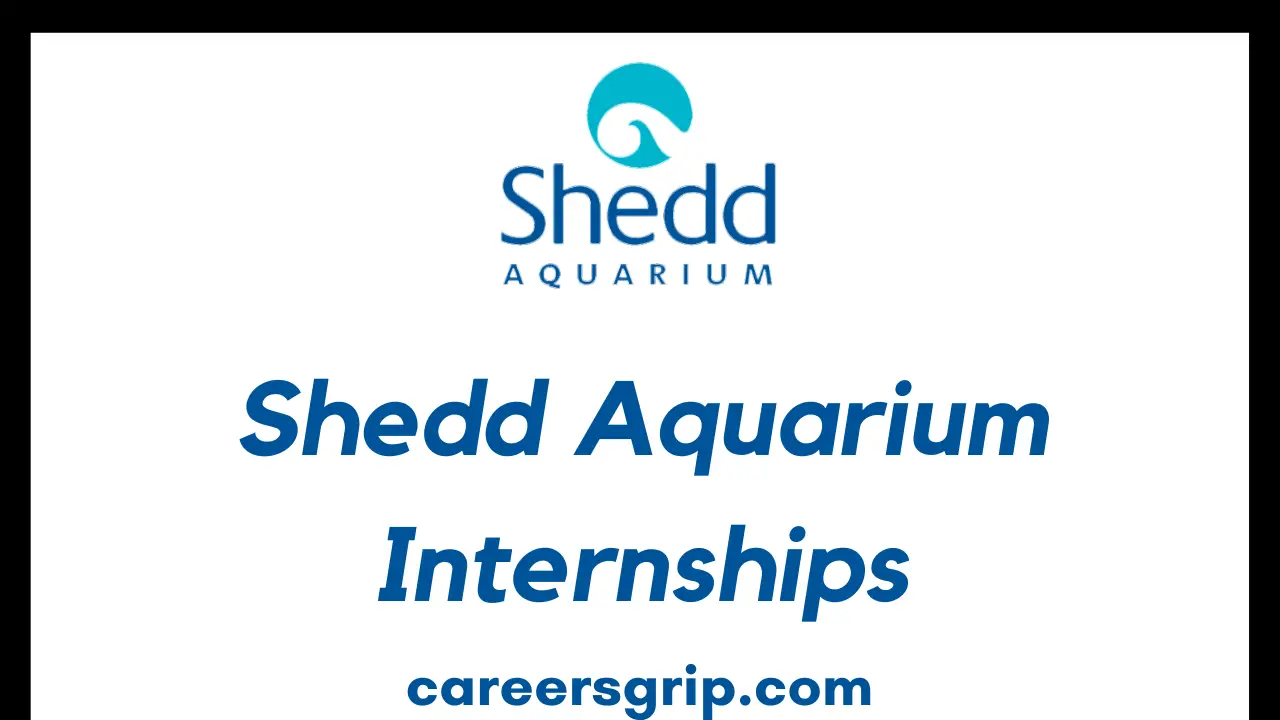 Shedd Aquarium Internship