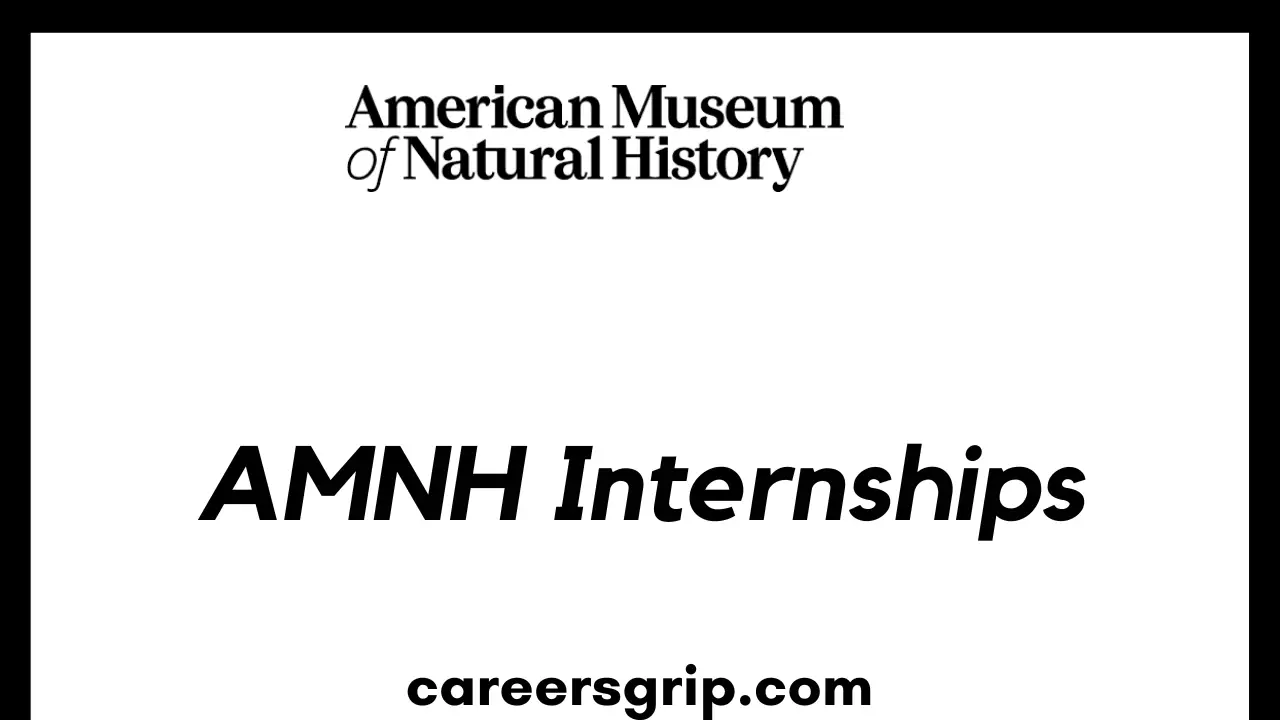 AMNH Internship