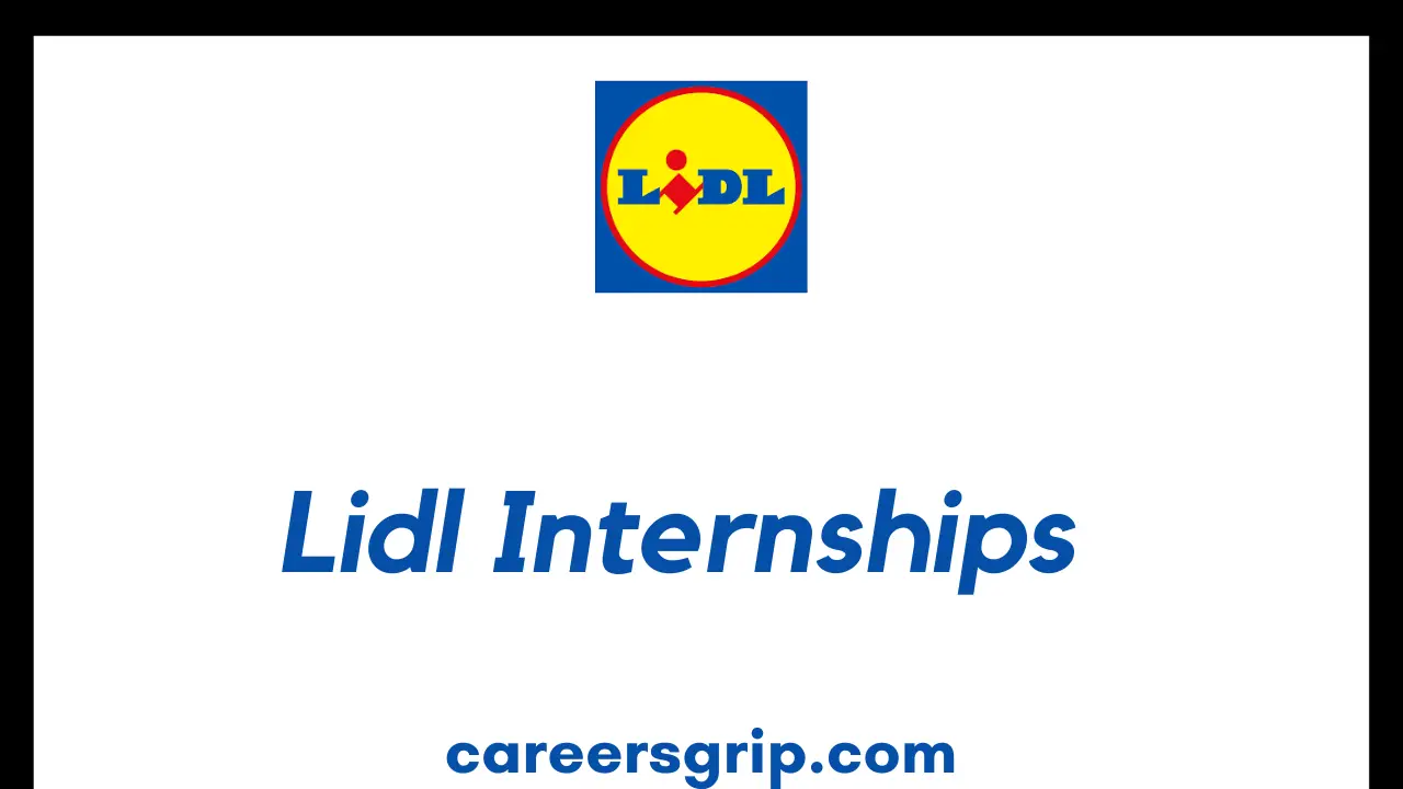 Lidl Internship